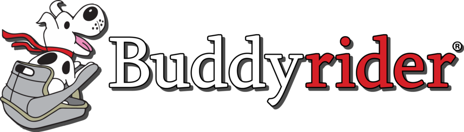 logo buddyrider