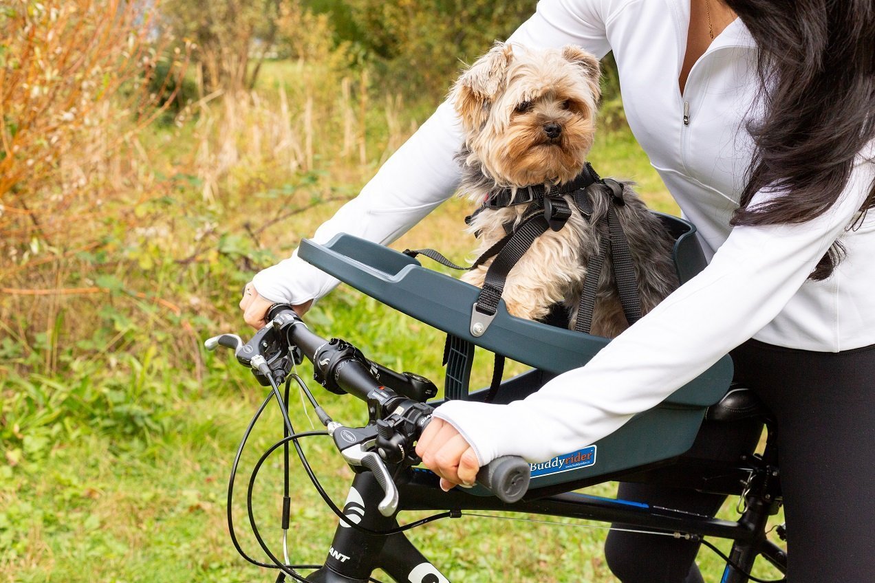 Buddyrider(バディーライダー) ◉ペット用自転車シート - 犬用品