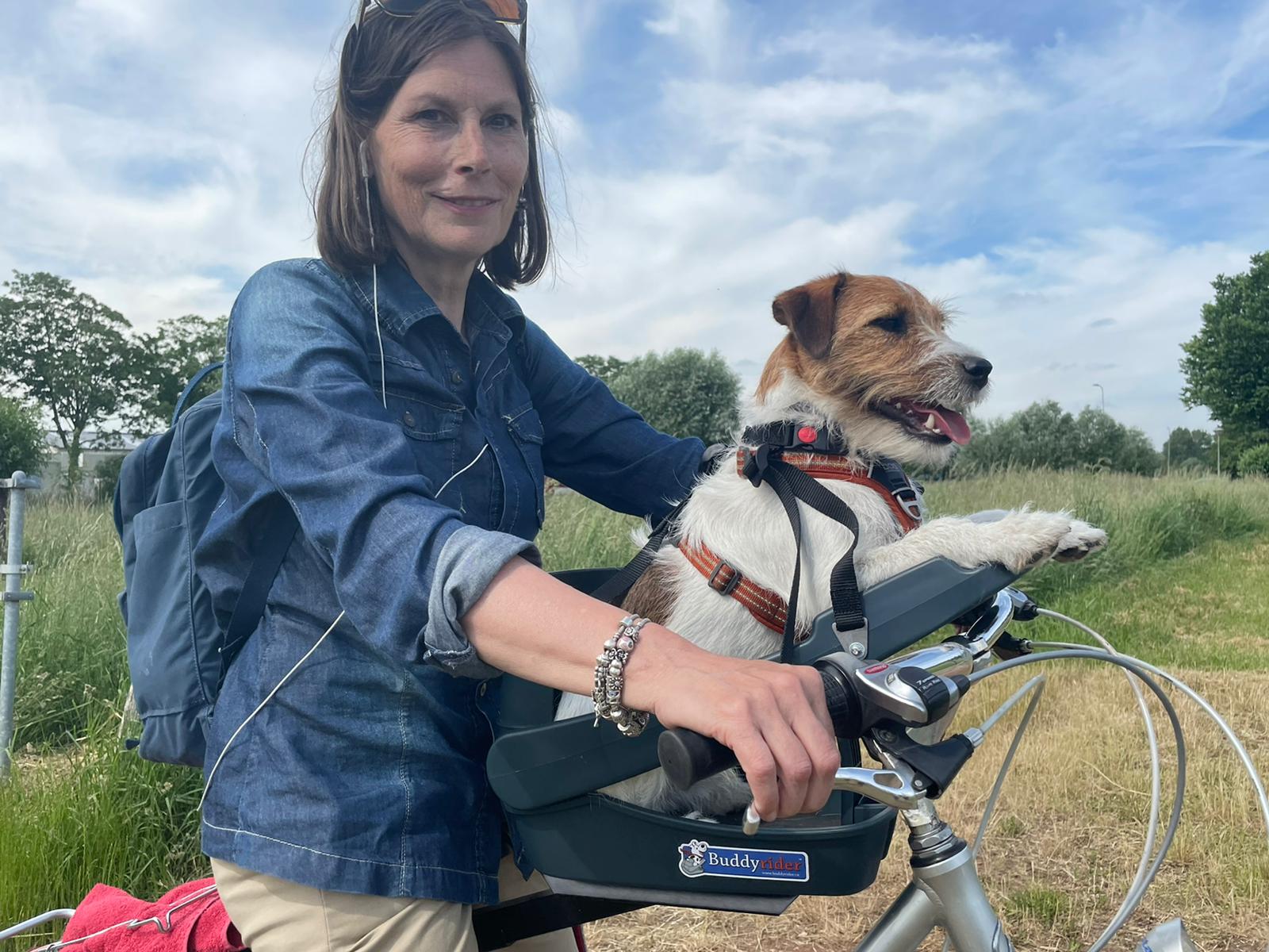 Grace Barmhartig terugtrekken De originele Buddyrider voor je hond mee op de fiets - Buddyrider.nl