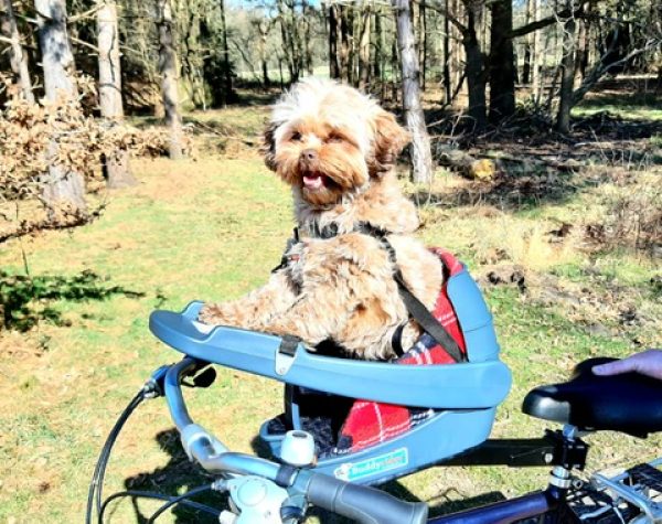 64a8d964-7ea3-48fc-b53c-2ab37a5a3486