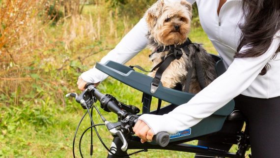 buddyrider-114A_1f3a20d8-185f-4bb8-89b6-8a5e51a19774 buddyrider-114A_1f3a20d8-185f-4bb8-89b6-8a5e51a19774